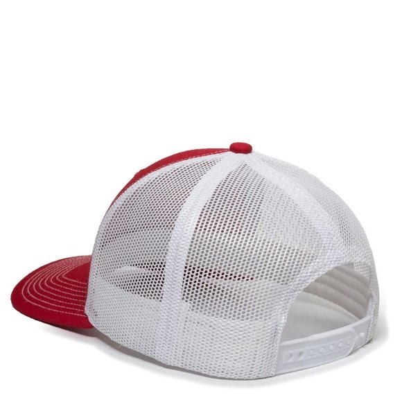 THE Ohio (Ohio State Colors) Go Buckeyes Premium Unisex Snapback Hat - Picture 4 of 4